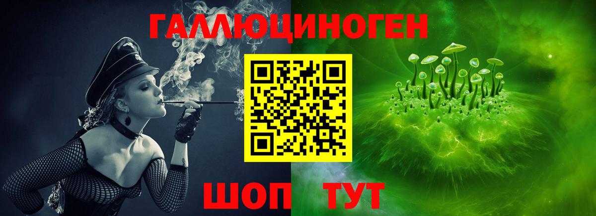 Псилоцибиновые грибы GOLDEN TEACHER Хабаровск